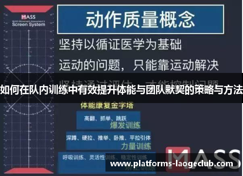 如何在队内训练中有效提升体能与团队默契的策略与方法
