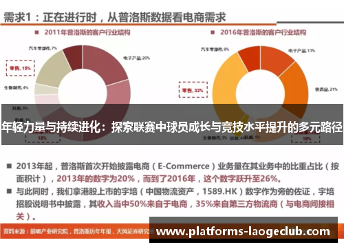 年轻力量与持续进化：探索联赛中球员成长与竞技水平提升的多元路径