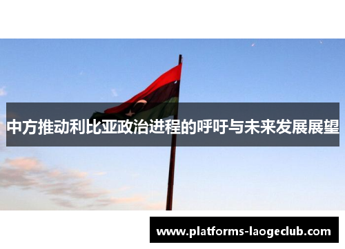 中方推动利比亚政治进程的呼吁与未来发展展望