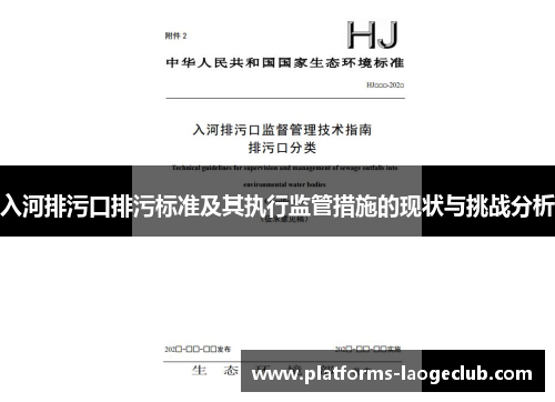入河排污口排污标准及其执行监管措施的现状与挑战分析