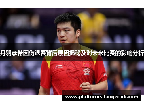 丹羽孝希因伤退赛背后原因揭秘及对未来比赛的影响分析
