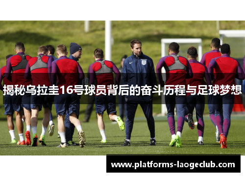 揭秘乌拉圭16号球员背后的奋斗历程与足球梦想