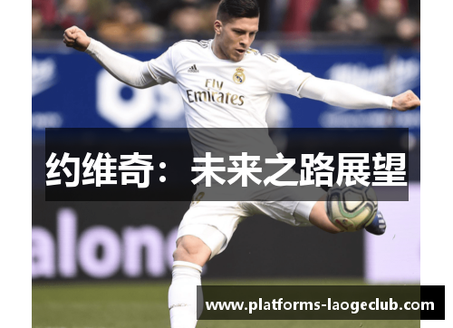 约维奇：未来之路展望