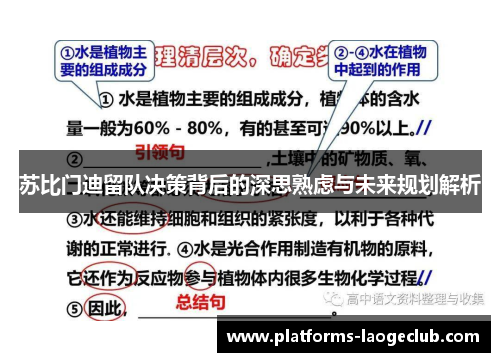 苏比门迪留队决策背后的深思熟虑与未来规划解析