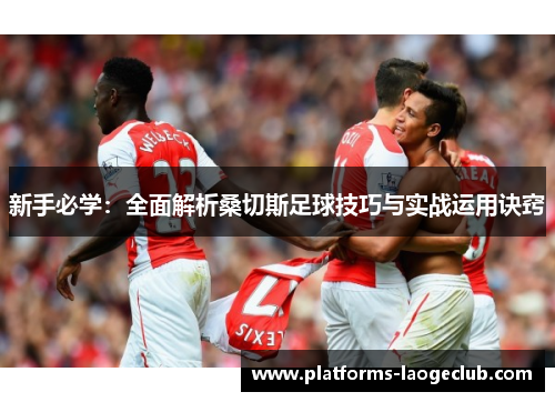 新手必学:全面解析桑切斯足球技巧与实战运用诀窍 新手必学:全面解析桑切斯足球技巧与实战运用诀窍