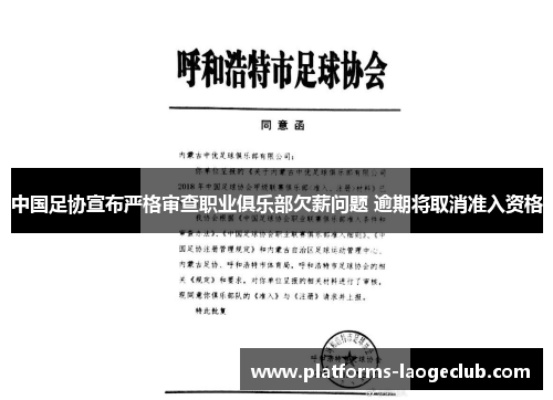 中国足协宣布严格审查职业俱乐部欠薪问题 逾期将取消准入资格